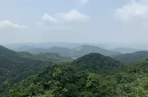 Wangzi Mountain Forest Park