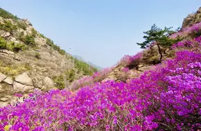 Dazhu Mountain Scenic Area