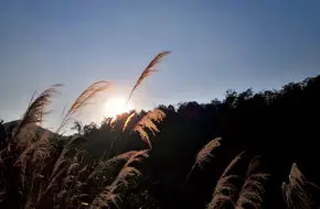 Liuxi River Forest Farm