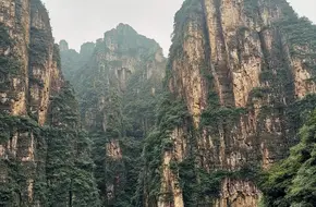 Minor Stone Forest