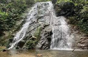Wangzi Mountain Forest Park