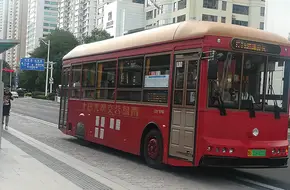 Qingdao City Sightseeing Bus