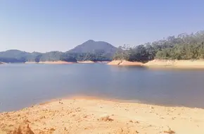 Liuxi River Forest Farm