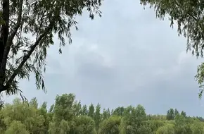 Jinniu Lake