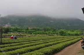 Jiangjia Village