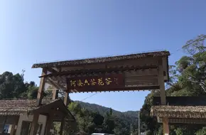 A Po Liu Camellia Valley