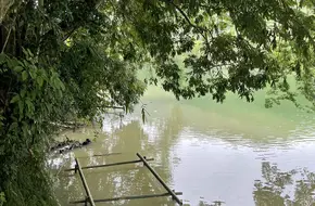 Huanglong Lake Forest Park
