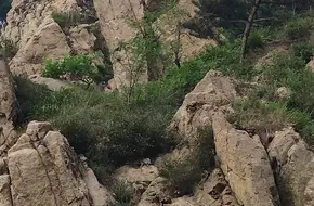 Tiejue Mountain Scenic Area