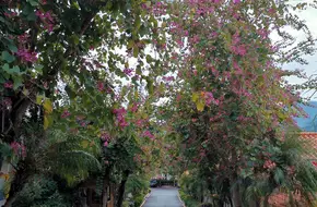 Gaotan Hot Spring