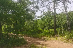 Yudu Mountain-Xiangfeng Peak