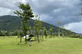 Chongdu Wetland Park