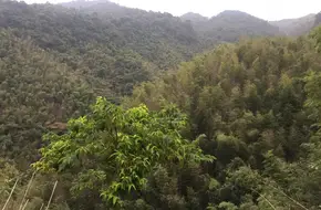 Guangzhou First Peak Mountain River Rafting