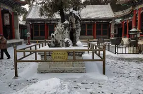 Qing Shan Tang