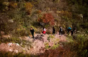 Magical Wild Mountain Gorge