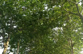 Bao Lake Galloping Horse Park