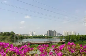 Hualu Wetland Park