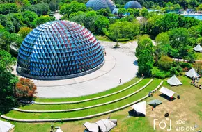 Lychee Ball Paradise