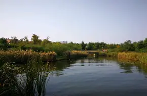 Shandong Shaohai National Wetland Park