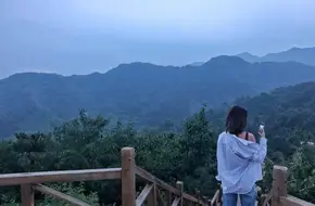 Glacier Green Valley