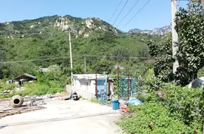 Sunshine 300 Resort