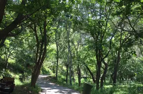Linghui Mountain