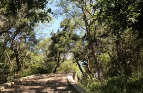 Cloud Ladder