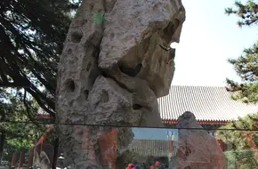 Shouxing Stone