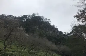Rural Scenic Area