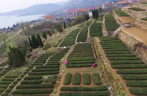Wang Ge Zhuang Street Tourist Resort