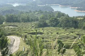 Jiulong Lake Lakeside Park