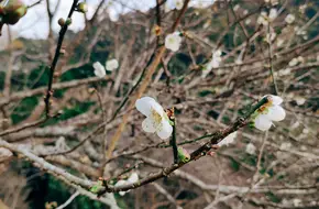 Shimen Huanshan