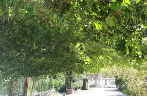 Yugu Shentan Shaodongjia Farmhouse