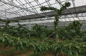 Qingdao Rural Park