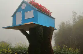 Majestic Stone Gate