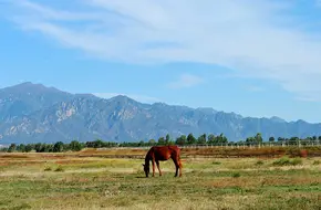 Kangxi Grassland