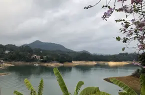 Chongdu Wetland Park