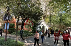Cultural Park Central Stage