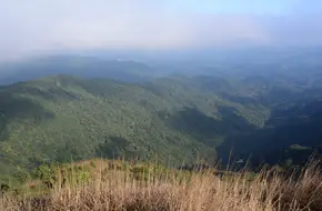 Paradise Peak Scenic Area
