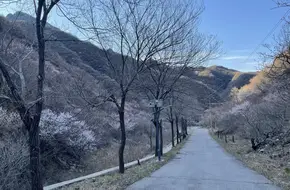 Zhuanghu Village