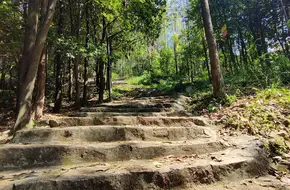 Pangu King Temple