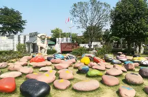 The Stone Chronicles Mineral Park