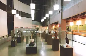 Yard Lake Wetland Museum