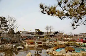 Cangma Mountain Resort