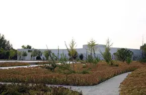 Yard Lake Wetland Museum