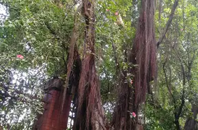 Xinhua Ci'En Chapel, Huadu District, Guangzhou
