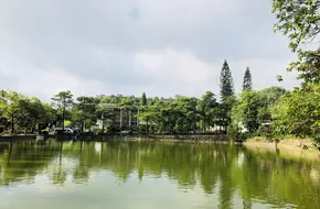 Timianzhen
