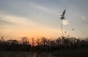 Summer Palace Bioreserve (Tuancheng Lake Area)
