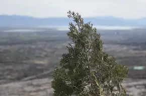 Yudu Mountain Scenic Area Observation Deck
