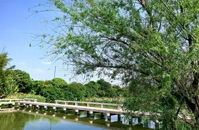 Haizhu National Wetland Park