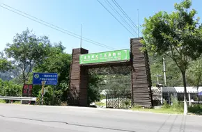 Sunshine 300 Resort